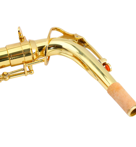 Z ZTDM Professional Alto Eb Saxophone sax with Mouthpiece  Paint