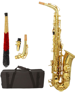 Z ZTDM Professional Alto Eb Saxophone sax with Mouthpiece  Paint